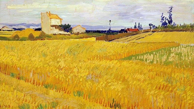 Винсент Ван Гог. Пшеничное поле со снопами. 1888 г.